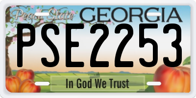 GA license plate PSE2253