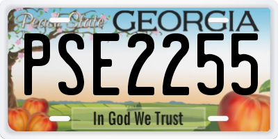 GA license plate PSE2255