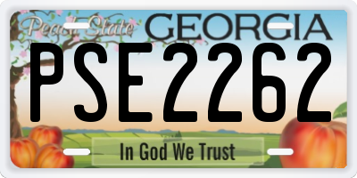 GA license plate PSE2262