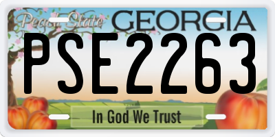 GA license plate PSE2263