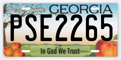 GA license plate PSE2265