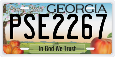 GA license plate PSE2267