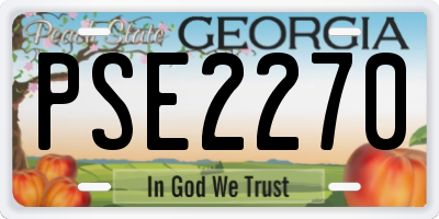 GA license plate PSE2270