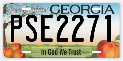 GA license plate PSE2271