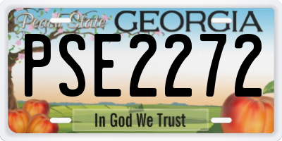 GA license plate PSE2272