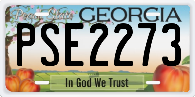 GA license plate PSE2273
