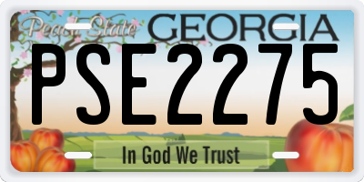 GA license plate PSE2275