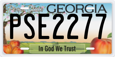 GA license plate PSE2277