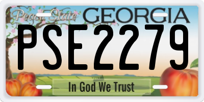 GA license plate PSE2279