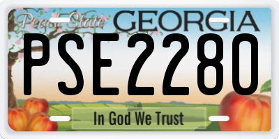 GA license plate PSE2280