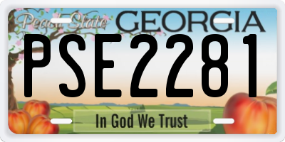 GA license plate PSE2281