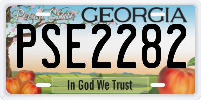 GA license plate PSE2282