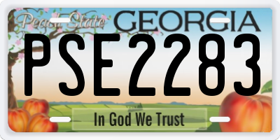 GA license plate PSE2283