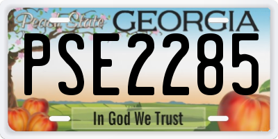 GA license plate PSE2285