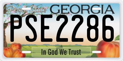 GA license plate PSE2286