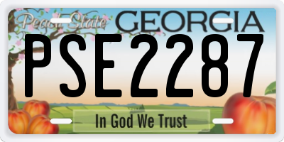 GA license plate PSE2287