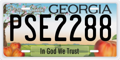 GA license plate PSE2288