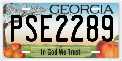 GA license plate PSE2289
