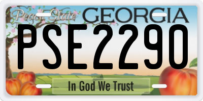 GA license plate PSE2290
