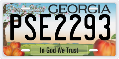 GA license plate PSE2293