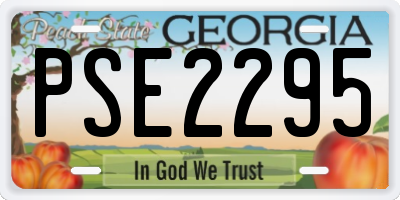 GA license plate PSE2295