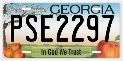 GA license plate PSE2297