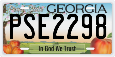 GA license plate PSE2298