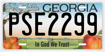 GA license plate PSE2299