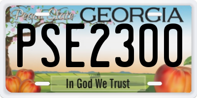 GA license plate PSE2300