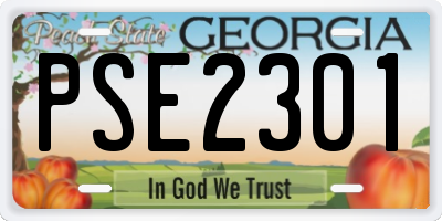 GA license plate PSE2301