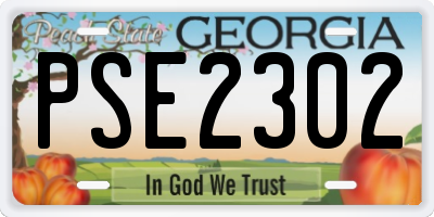 GA license plate PSE2302