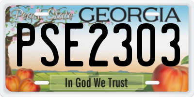 GA license plate PSE2303