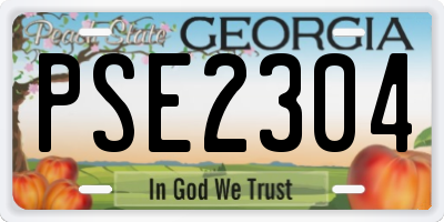 GA license plate PSE2304