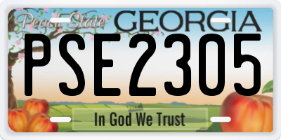 GA license plate PSE2305