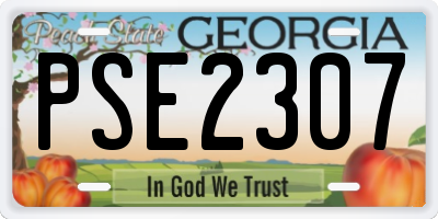 GA license plate PSE2307