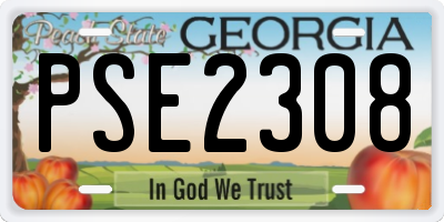 GA license plate PSE2308