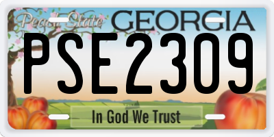 GA license plate PSE2309