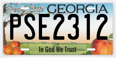 GA license plate PSE2312