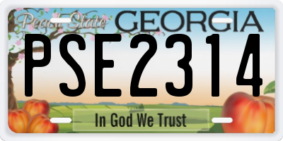 GA license plate PSE2314