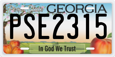 GA license plate PSE2315