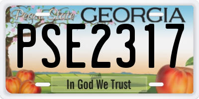GA license plate PSE2317