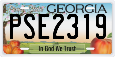 GA license plate PSE2319