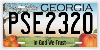 GA license plate PSE2320