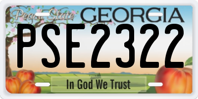 GA license plate PSE2322