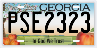 GA license plate PSE2323