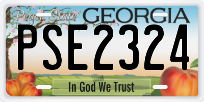 GA license plate PSE2324