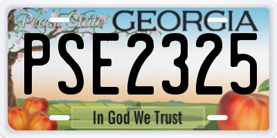 GA license plate PSE2325