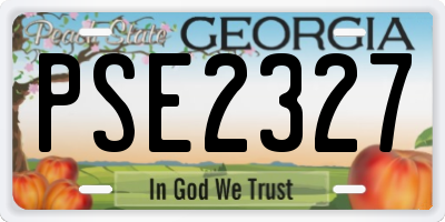 GA license plate PSE2327