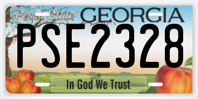 GA license plate PSE2328