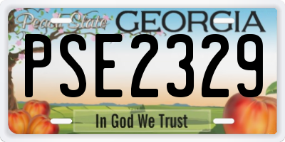 GA license plate PSE2329
